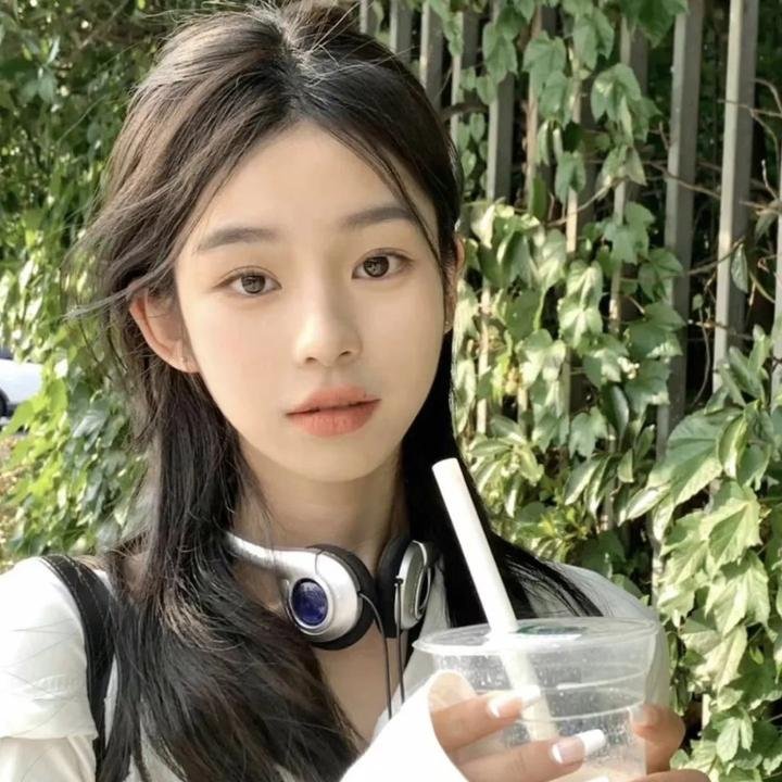 蜘蛛与郁金香